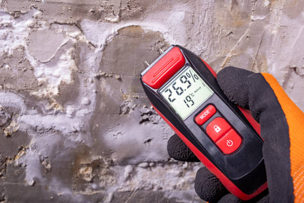 Best Home Mold Removal  in Groveland, FL